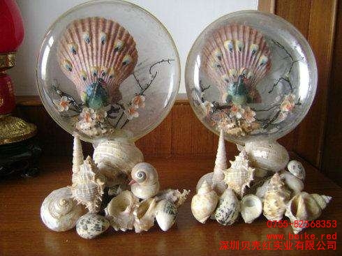 东山贝雕出售 全国贝雕品种齐全 贝壳红供