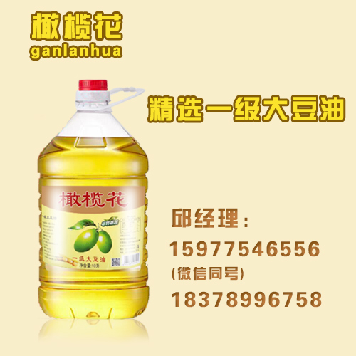 广西南宁食用油厂家批发，食用豆油大豆油20L