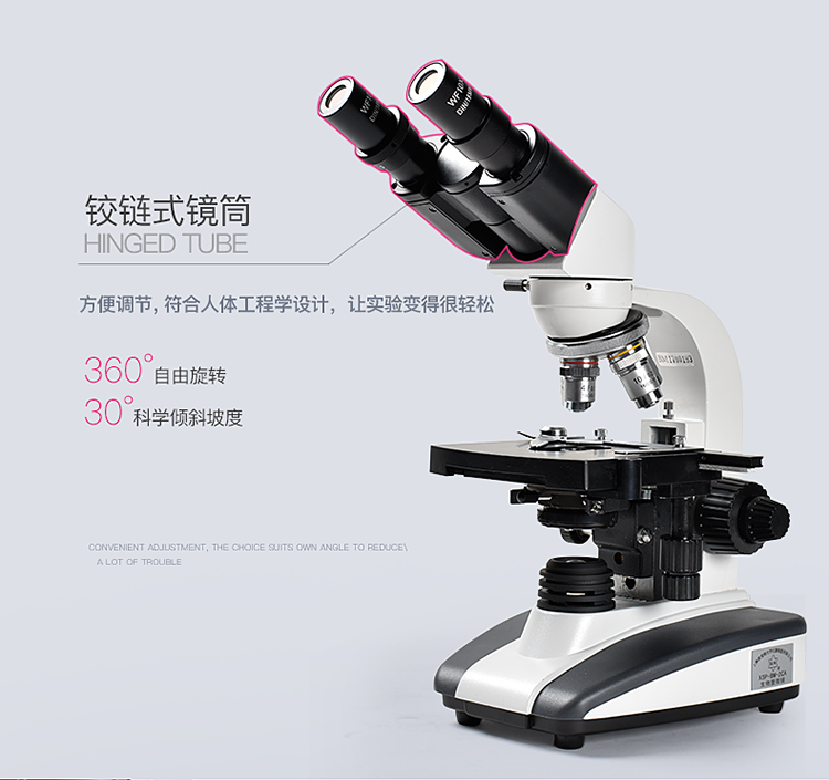 遵义彼爱姆XSP-BM-2C双目生物显微镜厂家直销