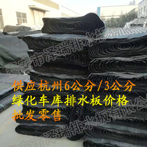 供应杭州6公分/3公分绿化种植排水板价格-批发零售
