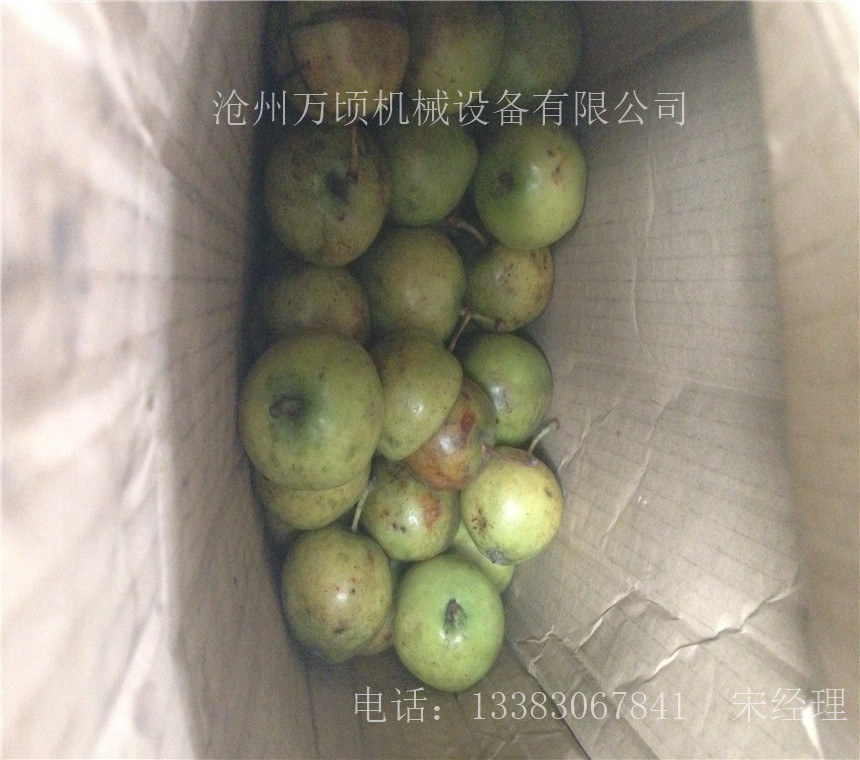 出售 优质大果山楂去核机