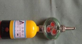 GSY-II高压风车验电器10kv语言式 GSY-II高压风车验电器10kv语言式