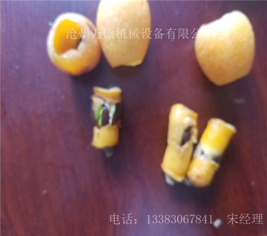 半自动枇杷去核机 多功能不锈钢