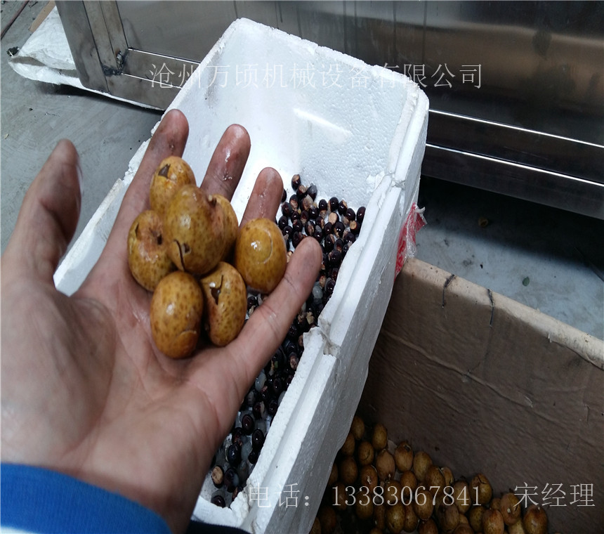 龙眼去核机 快速剥壳去核