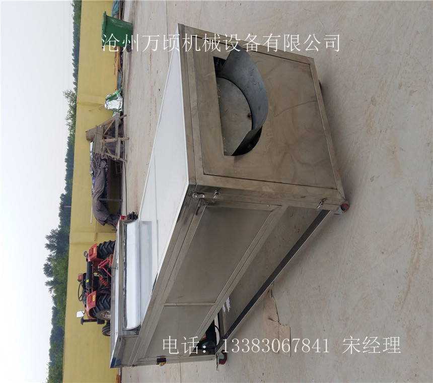 小枣清洗机 深度清洗加工设备可定制