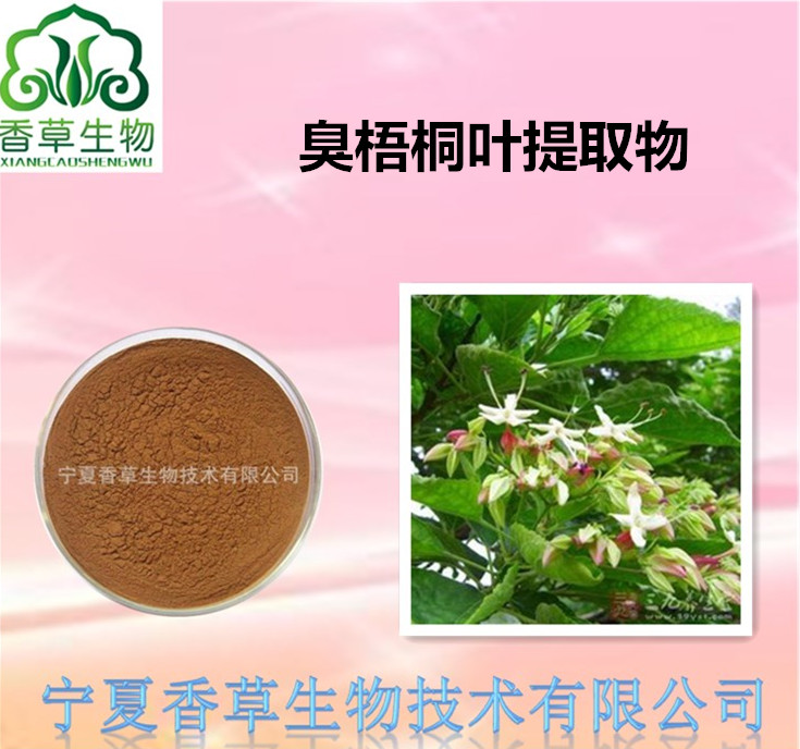 臭梧桐叶提取物 规格可定制 现货 浸膏粉 速溶粉 80-100目