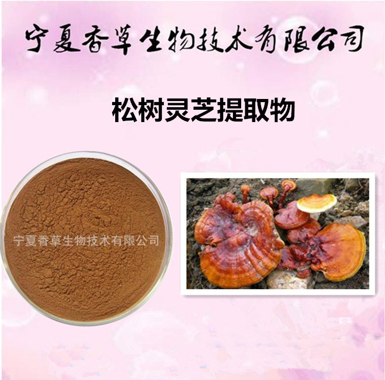 松树灵芝提取物 松树茸多糖  多肽  宁夏香草生物 厂家直销