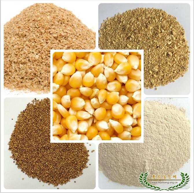 长期大量求购玉米大豆高粱油糠等饲料原料