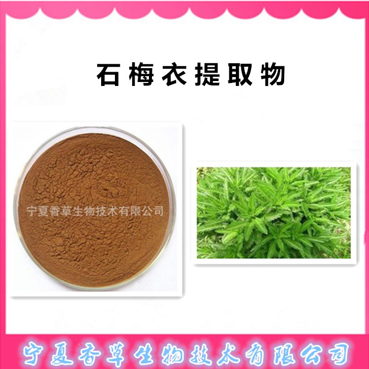 石梅衣提取物 石花速溶粉  地衣超微粉  石梅衣纯粉80目