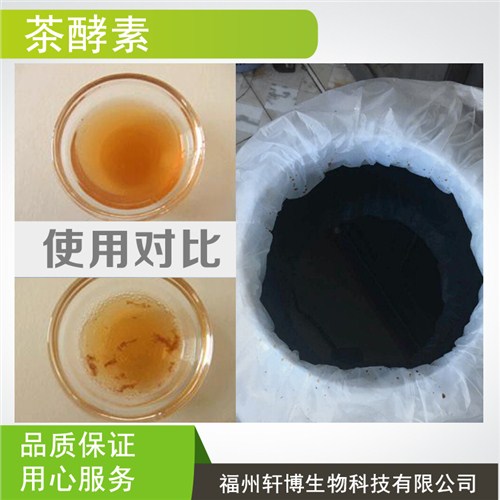 河南茶酵素原料厂家 茶酵素原料批发 漱口水原料茶酵素供应 轩博供