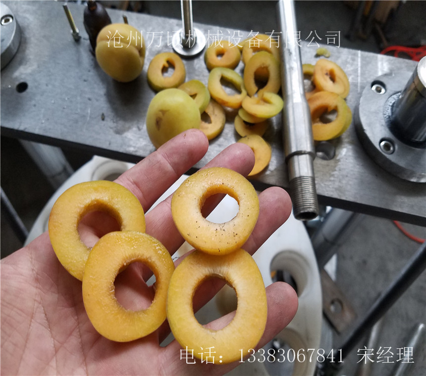 杏子切片机 杏子去核切片机 果脯加工设备