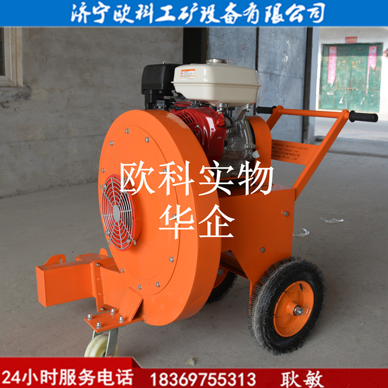 马路吹风机工程垃圾清扫吹风机