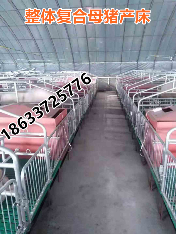 河北专业养猪设备连体母猪产床复合板价格