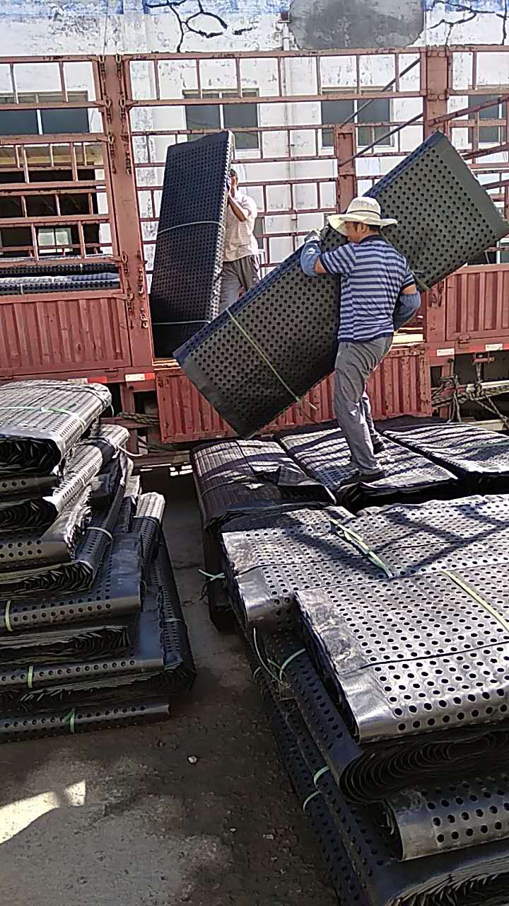 山西忻州车库/屋顶花园种植排水板厂家价格