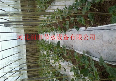 西安市供应农业灌溉网事过滤器厂家