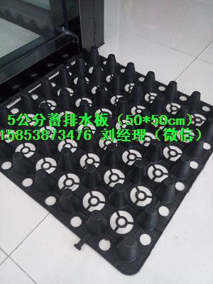 滁州屋顶车库排水板￥凸起2公分排水板15853873476