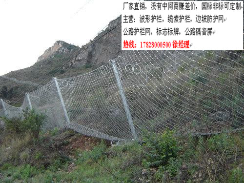 贵州RX050被动防护网-直销热线 17828000500