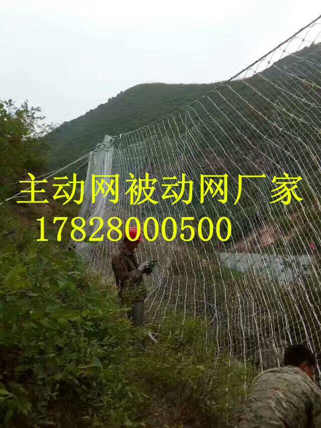 贵州被动防护网厂家RXI150