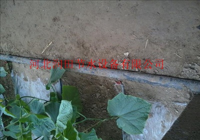 河北邯郸土豆膜下滴灌技术 滴灌带生产供应厂家
