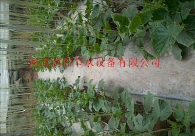 马铃薯膜下滴灌 河北邯郸供应优质滴灌带厂家