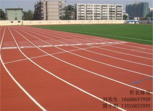 鹤山塑胶跑道 鹤山塑胶跑道价格 鹤山塑胶跑道施工 世名供