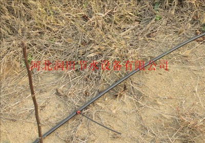 河南开封果树小管出流技术介绍