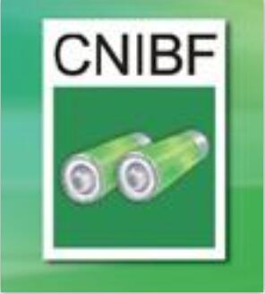 2018年上海CNJBF锂电池展