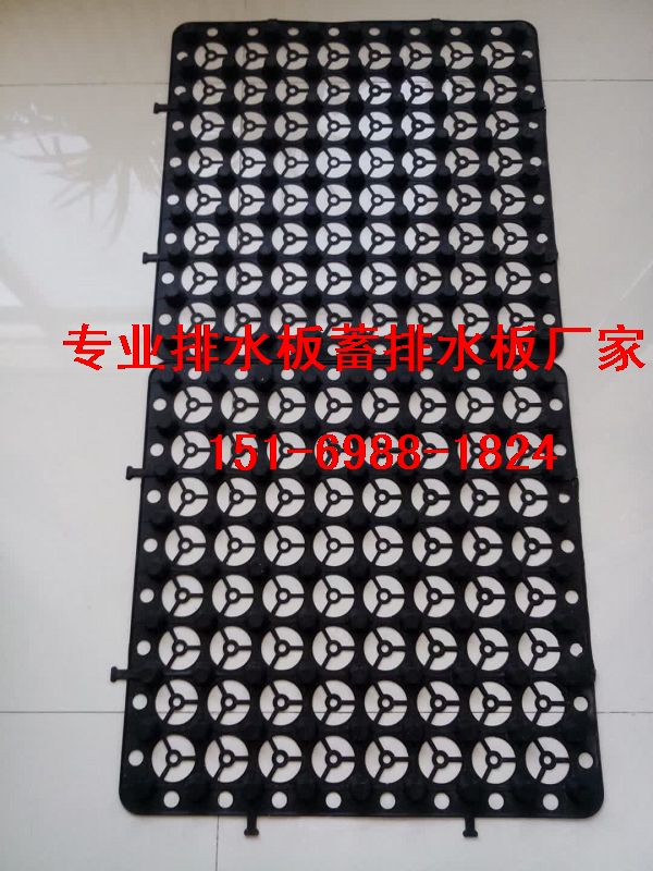3公分%黄石车库顶板绿化排水板15169881824