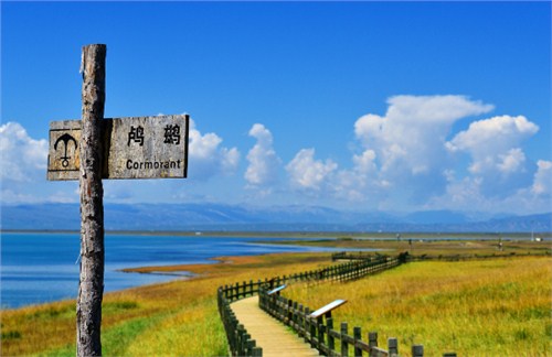 兰州旅游汽车租赁公司电话|兰州单位租车春节怎么预约|庆源供
