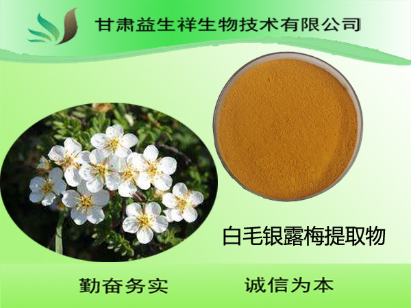 白毛银露梅提取物 现货供应