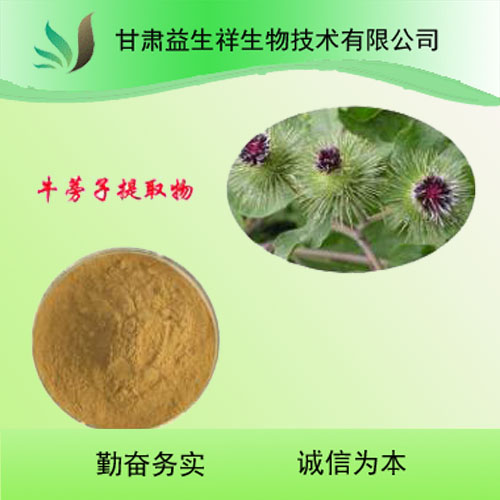 牛蒡根提取物 牛蒡子粉