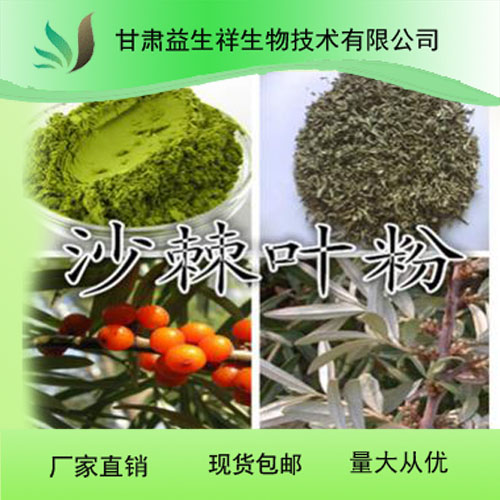 沙棘叶提取物 沙棘叶粉