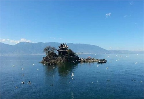 兰州城关区单位租车公司推荐|兰州单位租车公司提前预约|庆源供