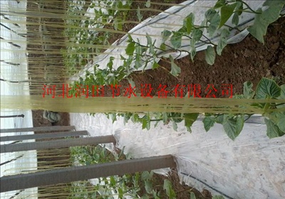 山西砂石过滤器哪里有销售的