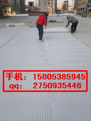 （平顶山地下室滤水板）屋顶绿化排水板15805385945