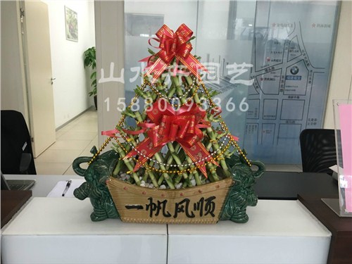 福州花卉批发,花卉批发哪家优惠,福州花卉批发零售,山水卉供