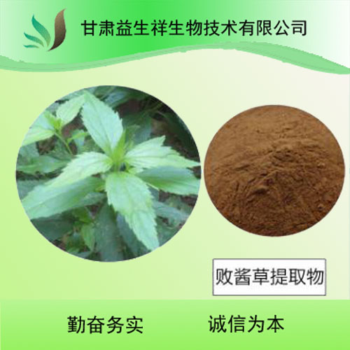 败酱草提取物 包邮