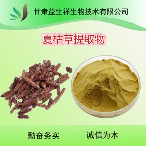 夏枯草提取物 质量保证