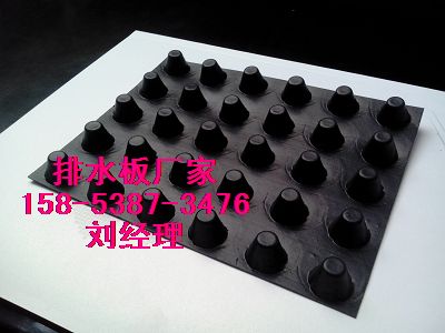 济宁〈防渗塑料排水板〉绿化排水阻根板15853873476