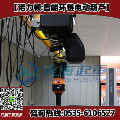 250kg智能电动葫芦,智能操作手柄,单手智能环链电动葫芦