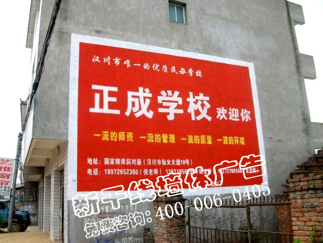 孝感喷绘墙体广告,专业乡镇墙体广告