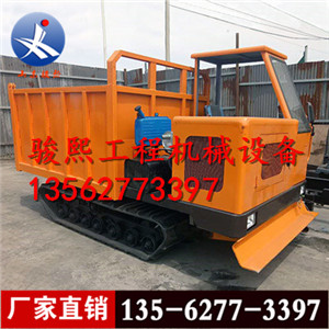 山东厂家直销小型履带运输车 农用四不像履带车