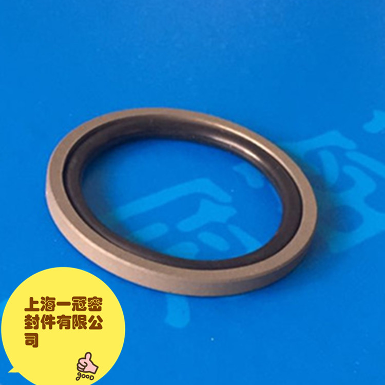 斯特封格莱圈 O型密封圈 四氟泛塞封