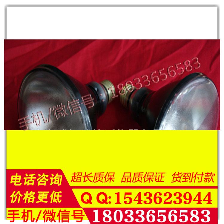 现货促销工业探伤检测灯炮BLE-100S/M紫外线探伤灯   工业探伤灯