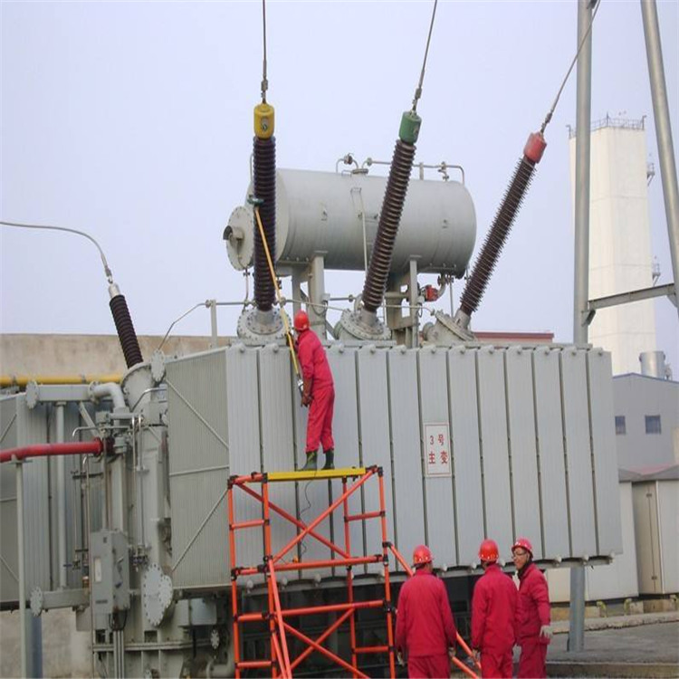 高压带电清扫刷 220kv 供应电动清扫刷 带电清扫工具DS-35