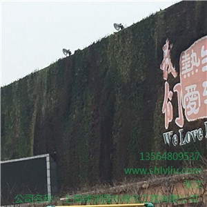 室外植生墙施工 室外植生墙施工哪家好 上海室外植生墙施工