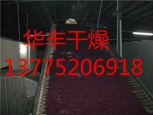 葫芦岛出售二手50公斤30公斤全自动水洗机二手烘干机