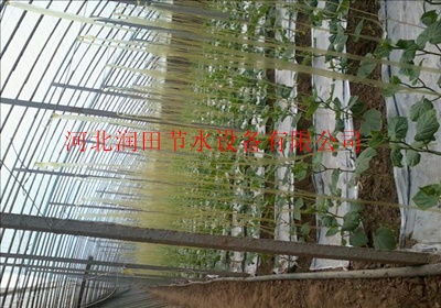 黄瓜蔬菜大棚滴灌 滴灌带滴灌管