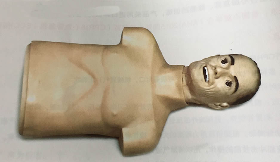 老年半身心肺复苏训练模拟人ZH/CPR182，老年半身复苏模拟假人