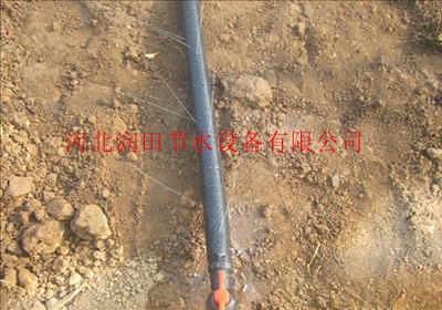 大同优质滴灌管，厂家直销滴灌管，果树滴灌